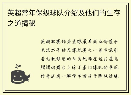 英超常年保级球队介绍及他们的生存之道揭秘