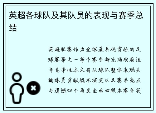 英超各球队及其队员的表现与赛季总结